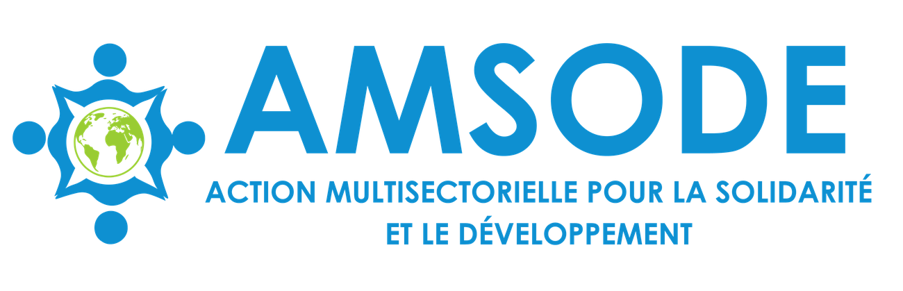 Logo officiel AMSODE