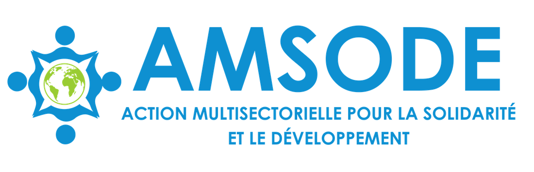 Logo horizontal officiel AMSODE